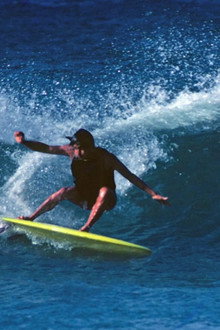 Fish: The Surfboard Documentary