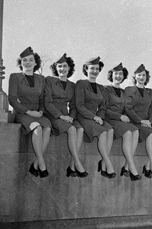 Flying Stewardess