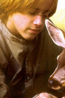 The Yearling