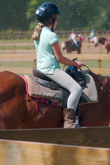 Horse Camp: A Love Tail
