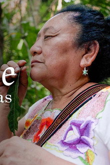 Belize: Wir sind Maya!