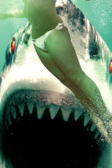 Ghost Shark - Die Legende lebt