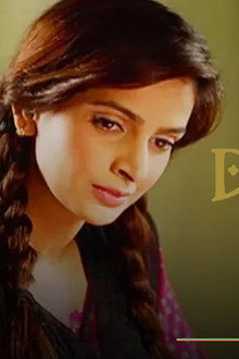ڈائجسٹ رائیٹر