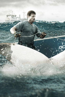 Shark Wranglers