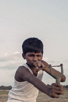 ஐகாட்