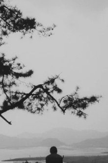 Бренность