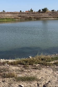 The Lake
