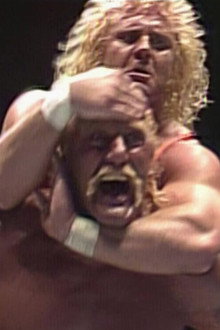 WWE WrestleFest '90