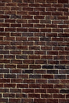 Wall Ball