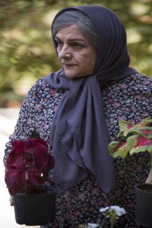 دوباره زندگی