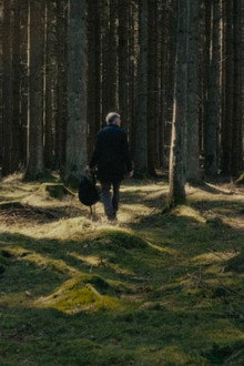 The Last Giants
