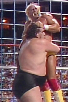Hulk Hogan: Real American