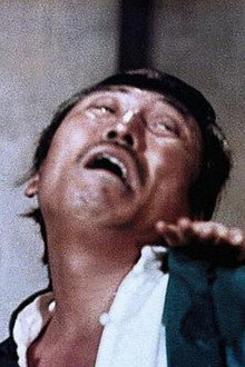 鐵金剛大破紫陽觀
