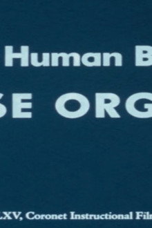 The Human Body: Sense Organs