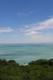 Terra Mater: Der Plattensee - Ungarns Wasserwildnis