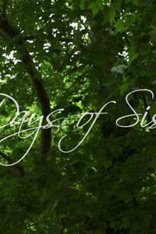 Six Days of Sistine