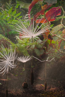 Planètes