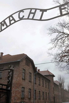Auschwitz: Journey Into Hell