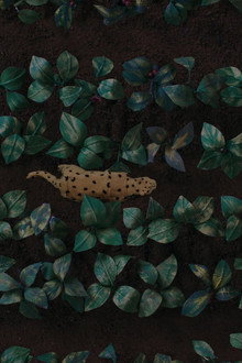 El canto del jaguar