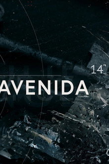 Avenue 14