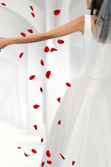 My Great Big Live Wedding with David Tutera
