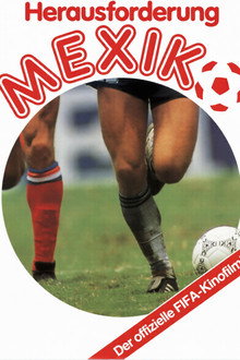 Herausforderung Mexiko