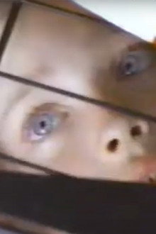 The Innocent