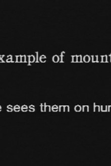 The Hundred Videos #4