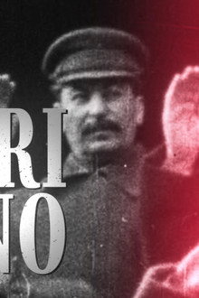 Suuri vaino