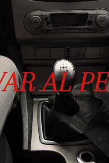 Salvar al Perro