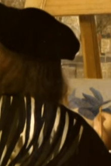 Vermeer Master of Light