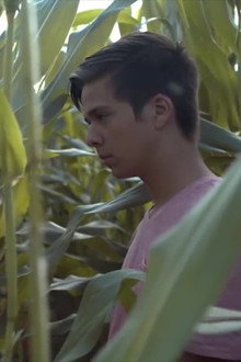 Desire: The Short Films of Ohm