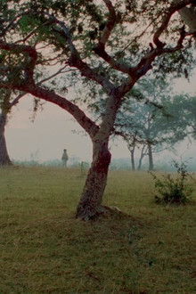 তাহাদের কথা