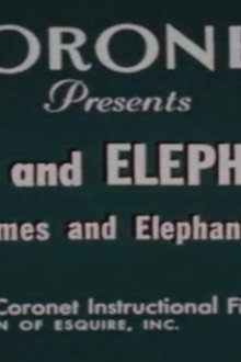 Pigs and Elephants (Suiformes and Elephantoidea)