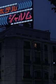 Love Hotel: No Vacancy