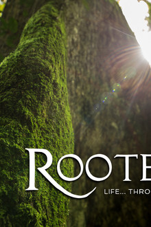 Rooted