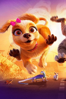 Gracie & Pedro: Pets to the Rescue