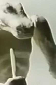 パルサー