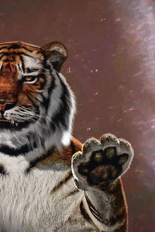 One or Several Tigers
