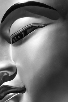 The Great Buddha+