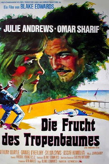 Die Frucht des Tropenbaumes