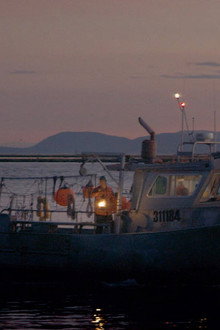 Floating Light