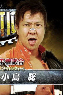 NJPW Destruction 2013