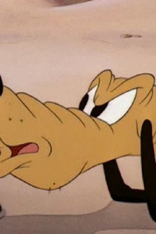 Pluto's Playmate