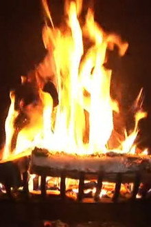 Holiday Fire