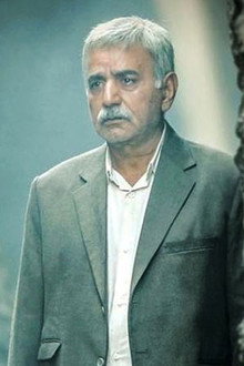 بی همه چیز