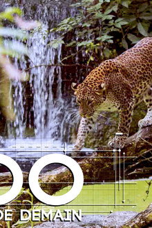 Zoo : le défi de demain