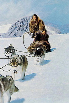 Die blutigen Geier von Alaska