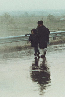 Пейзаж в тумане