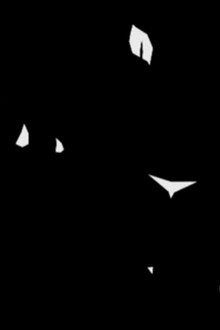 La Queue de la Souris